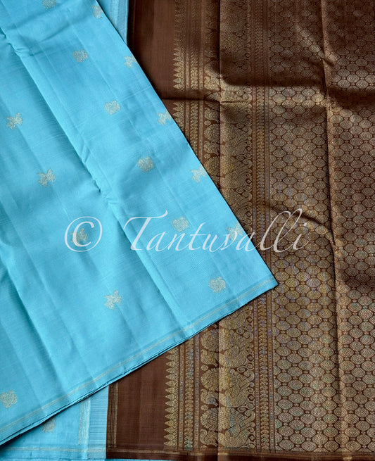 Glacier Blue and Cocoa Brown Borderless Pure Zari
