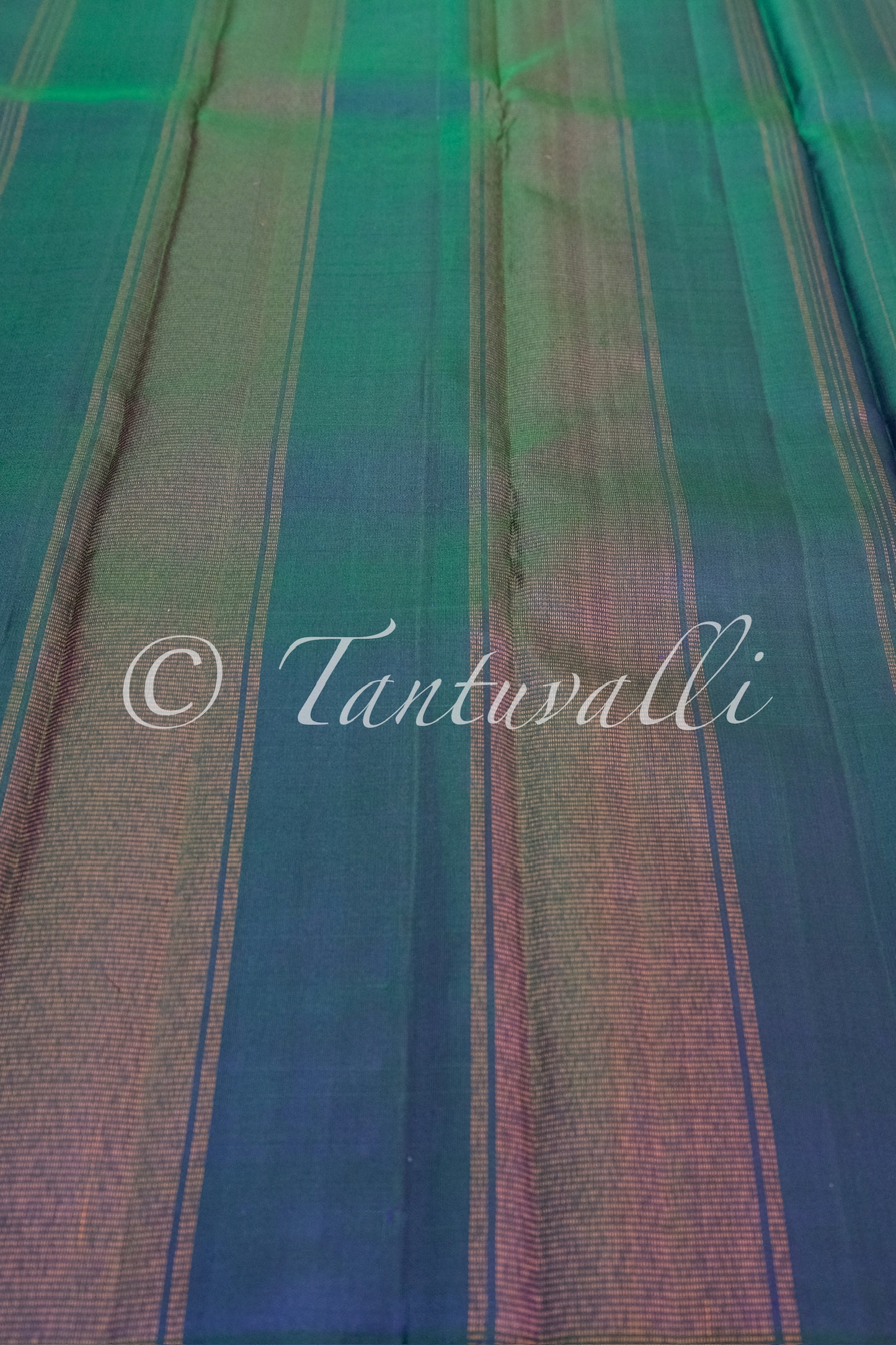 Mayil Kazhuthu Blue Green Dual Tone Half and Half