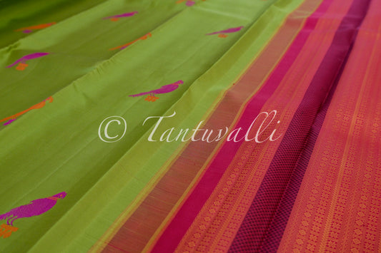 Parrot Green No Zari Parrot Motifs