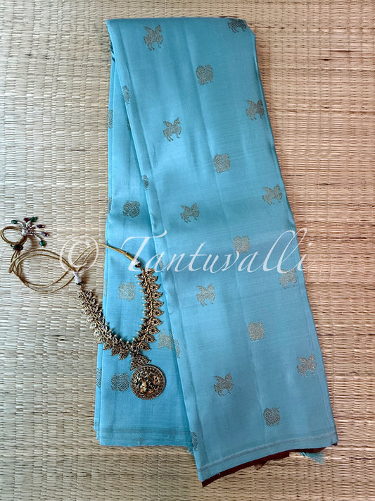Glacier Blue and Cocoa Brown Borderless Pure Zari