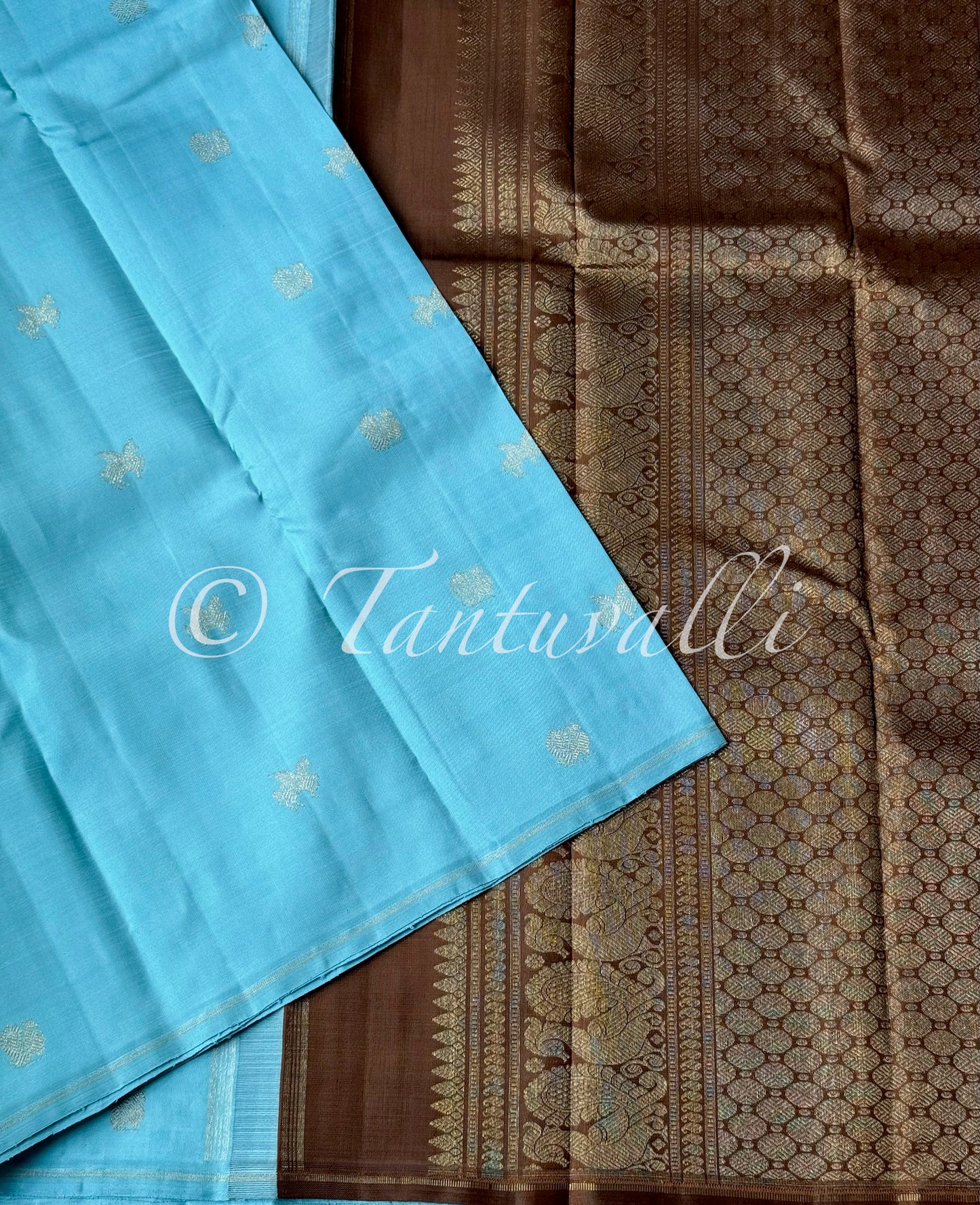 Glacier Blue and Cocoa Brown Borderless Pure Zari