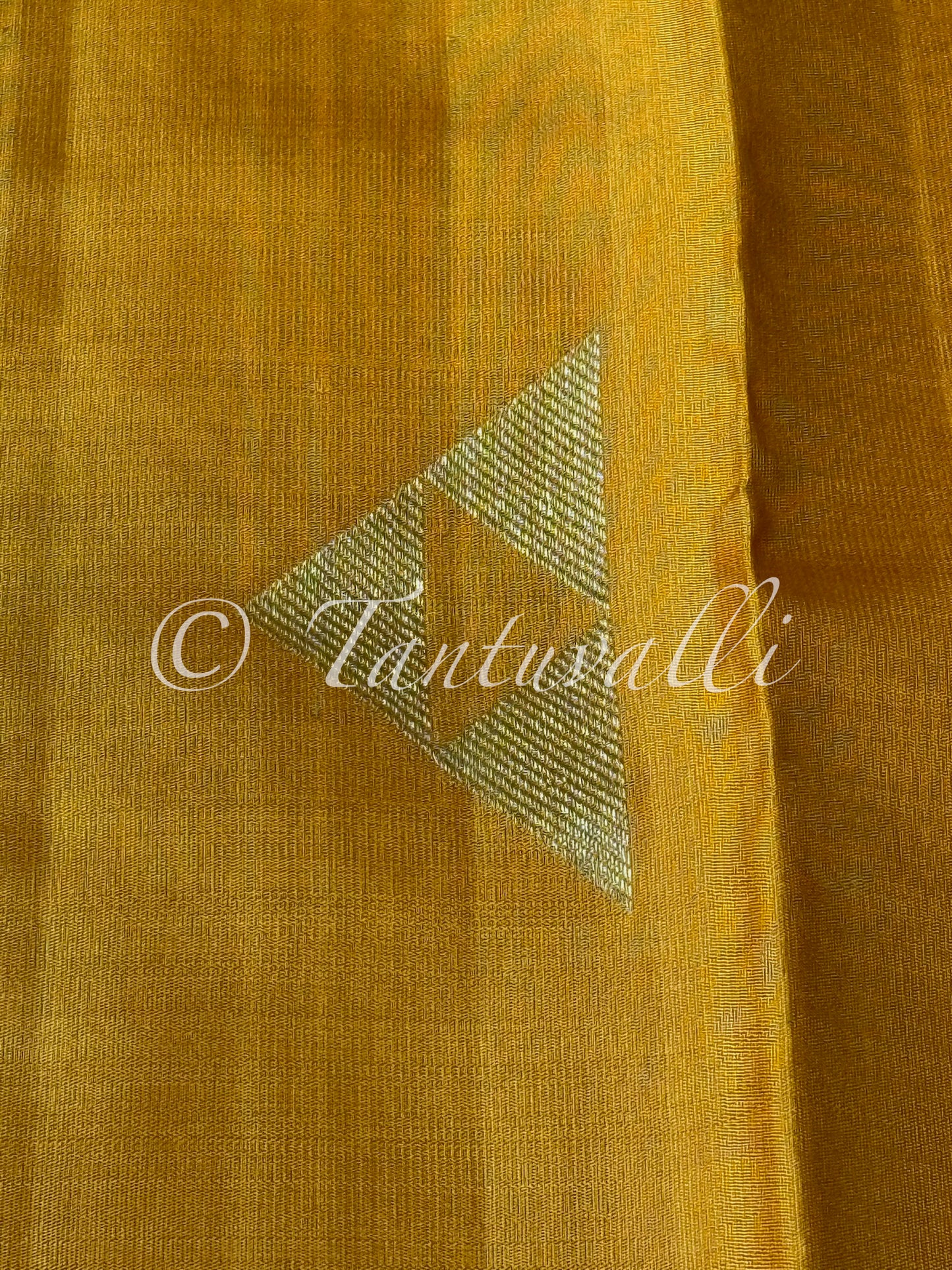 Mustard Borderless with Ikat Fusion Pallu Pure Zari