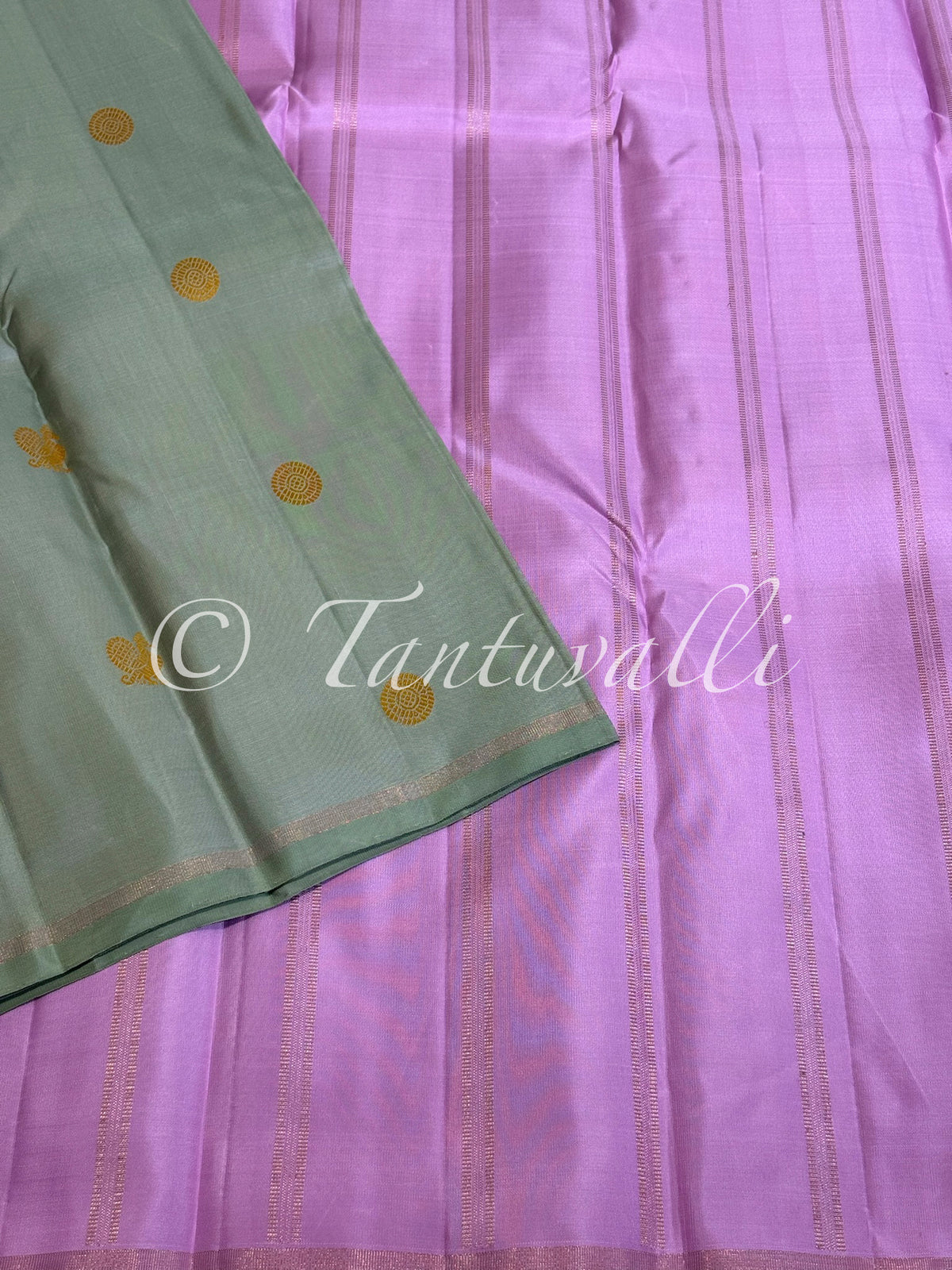 Mint Green Borderless With Lilac Pallu