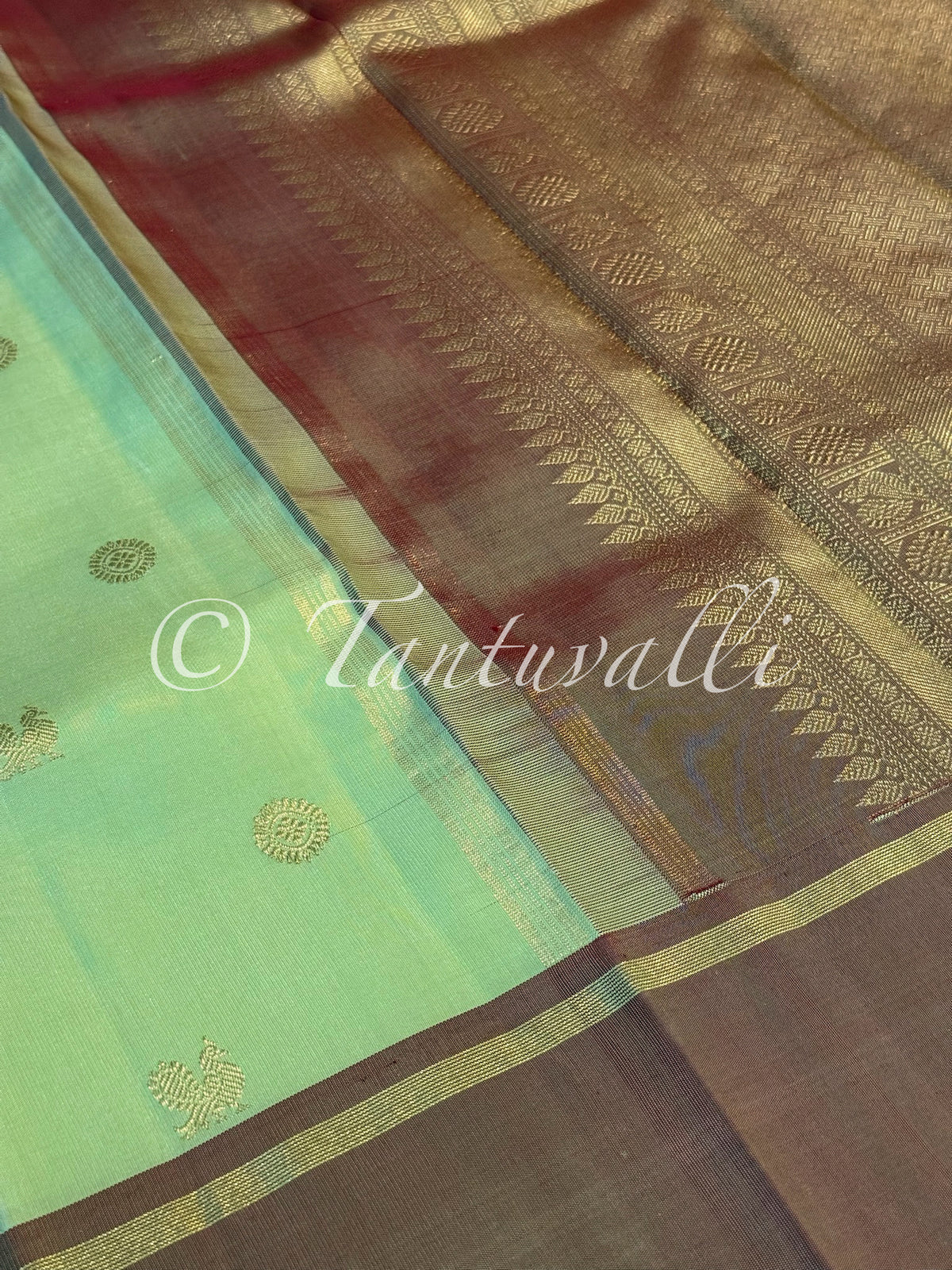 Pista Green and Maanthulir Bodi Korvai