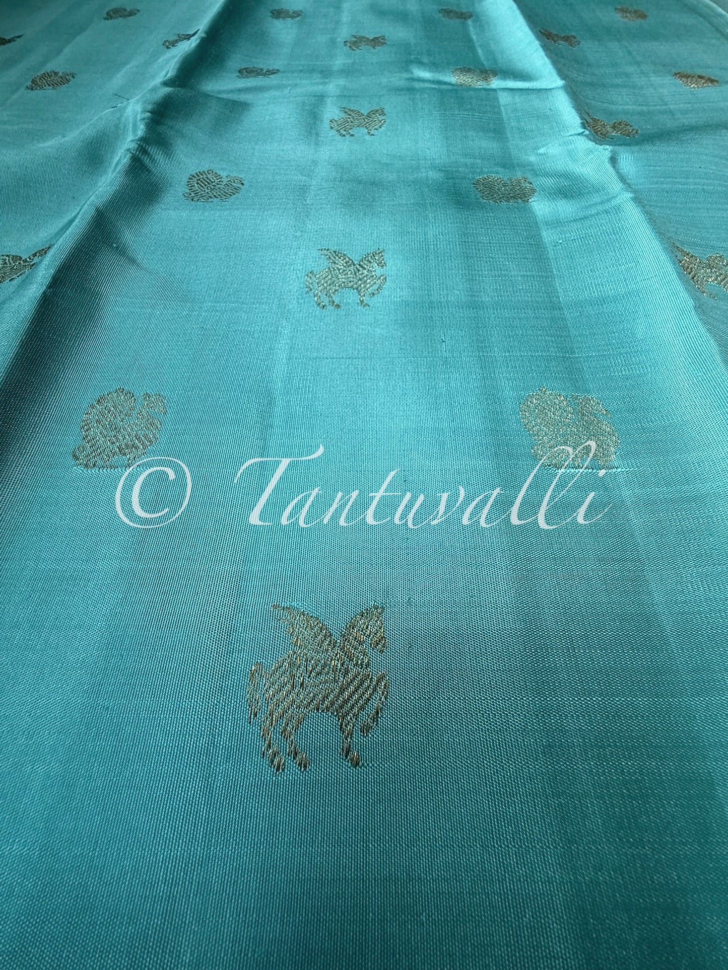 Glacier Blue and Cocoa Brown Borderless Pure Zari