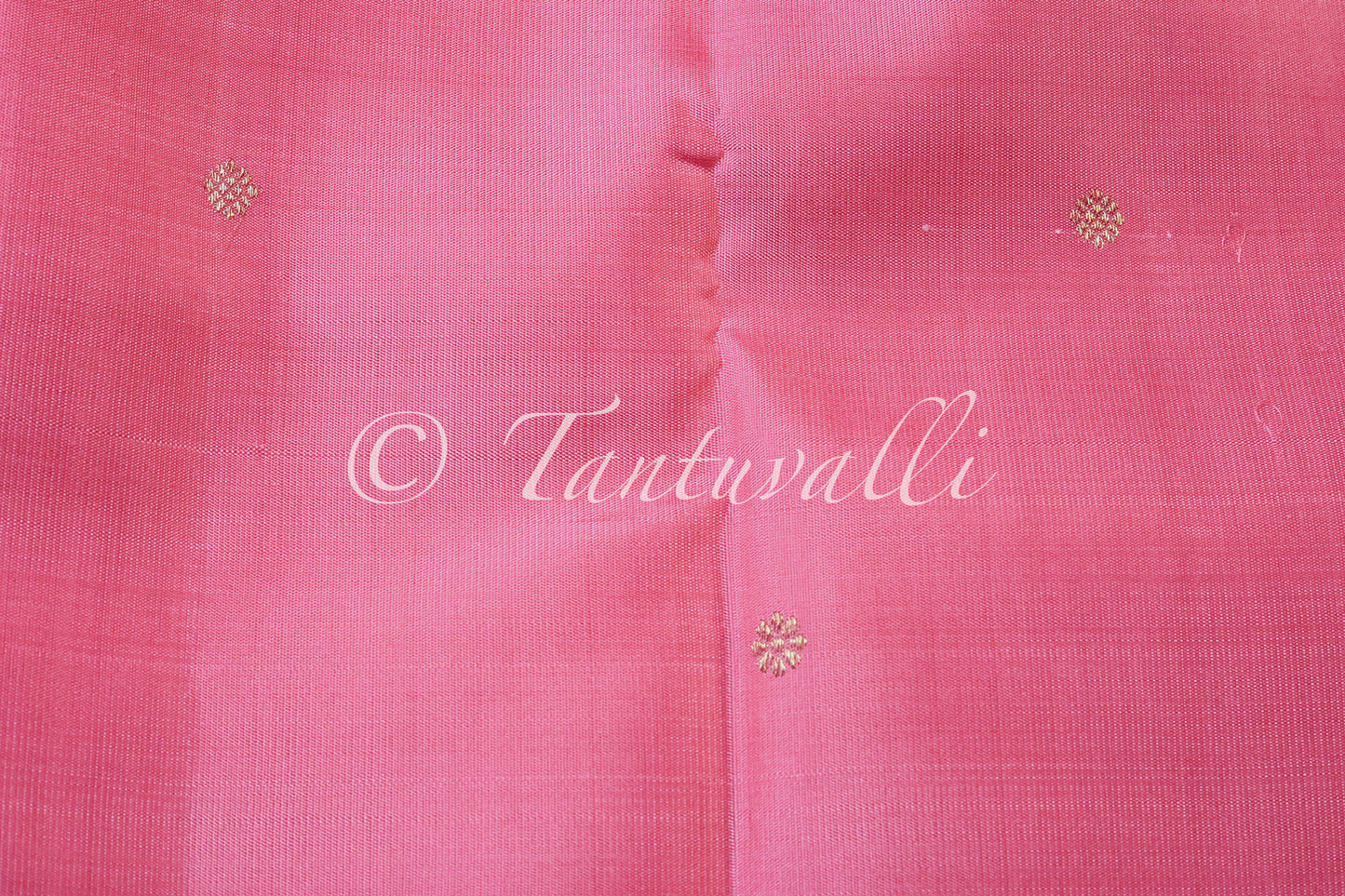 Pattu Roja Borderless