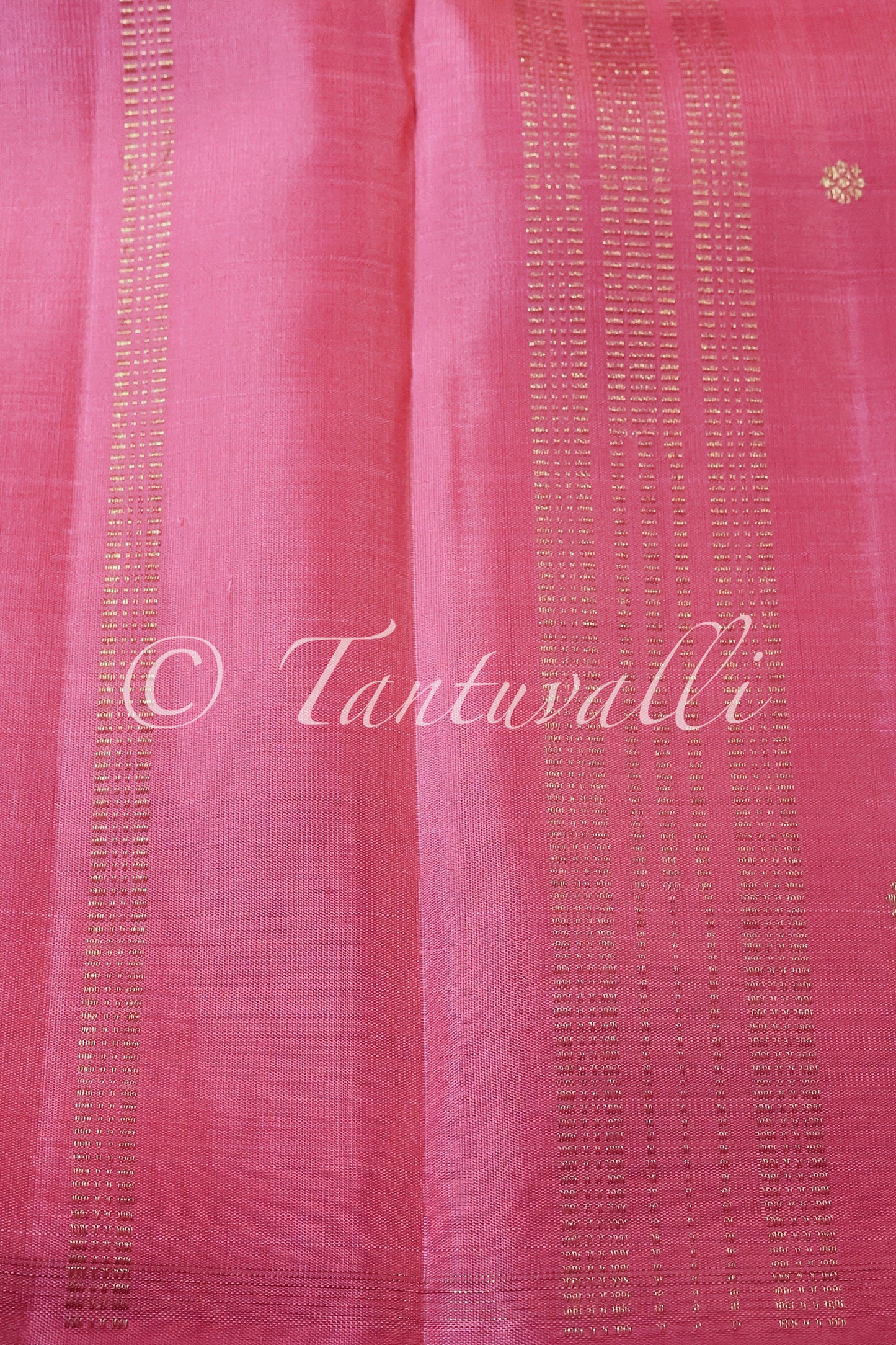 Pattu Roja Borderless