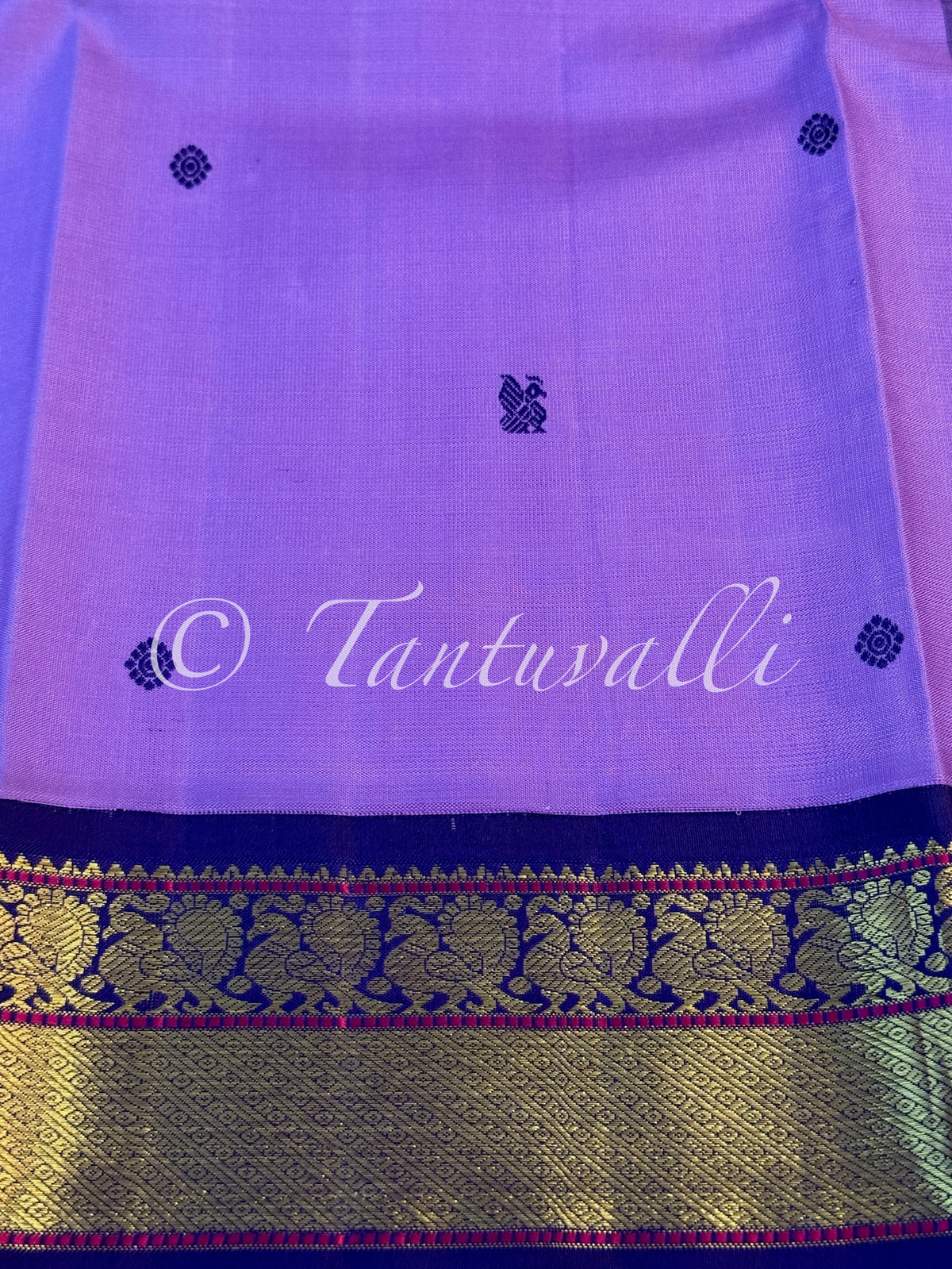 Dark December Poo with Navy Blue Small Border Korvai