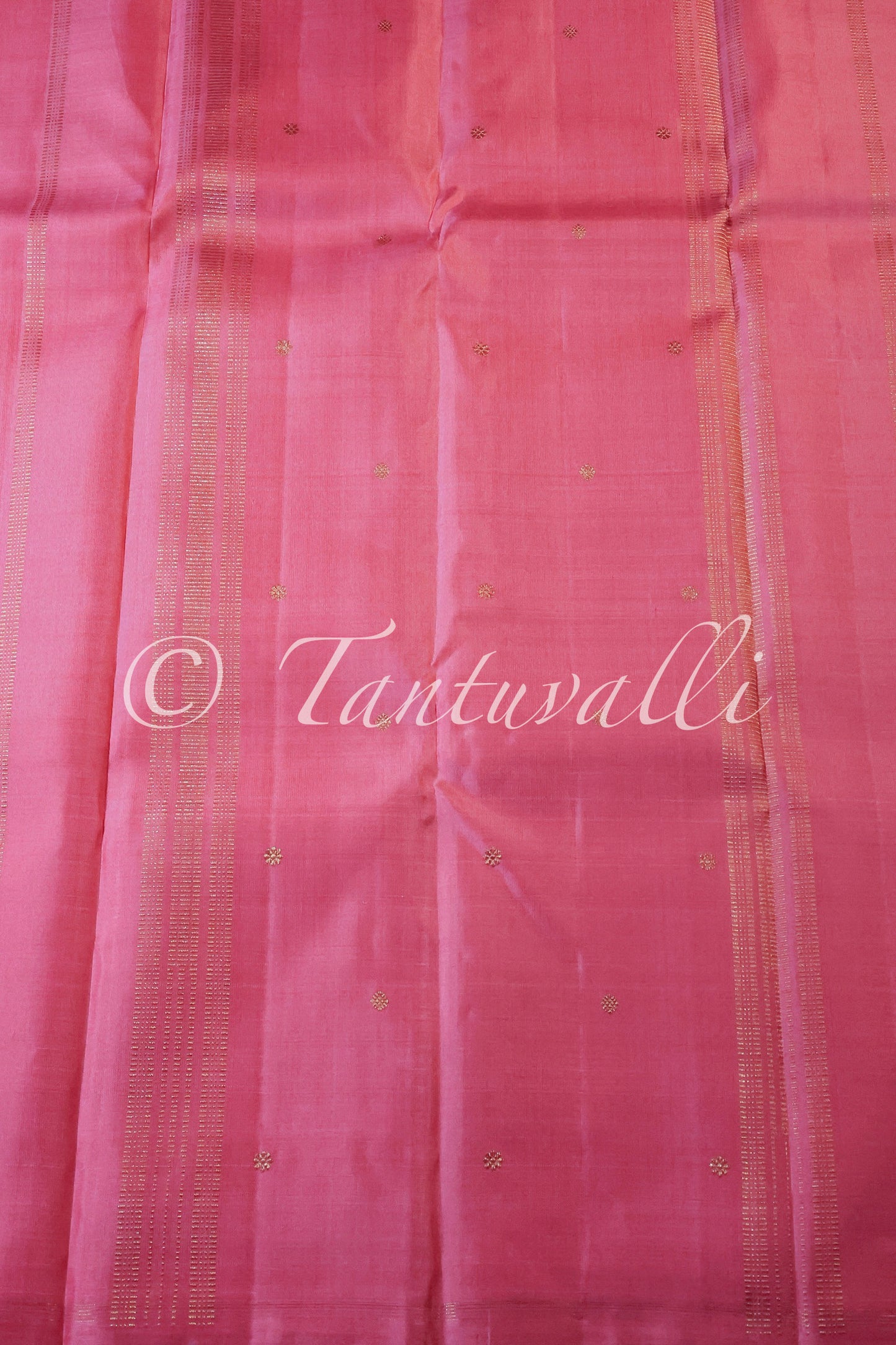 Pattu Roja Borderless