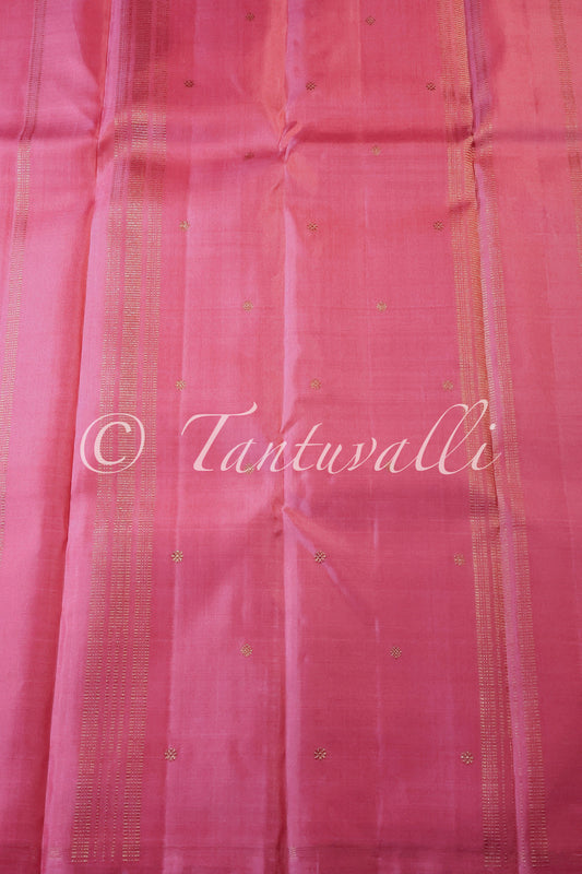 Pattu Roja Borderless