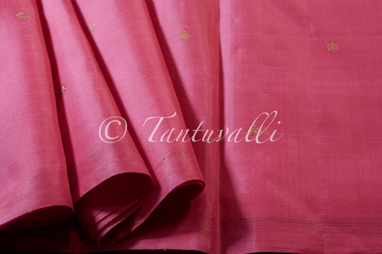 Pattu Roja Borderless