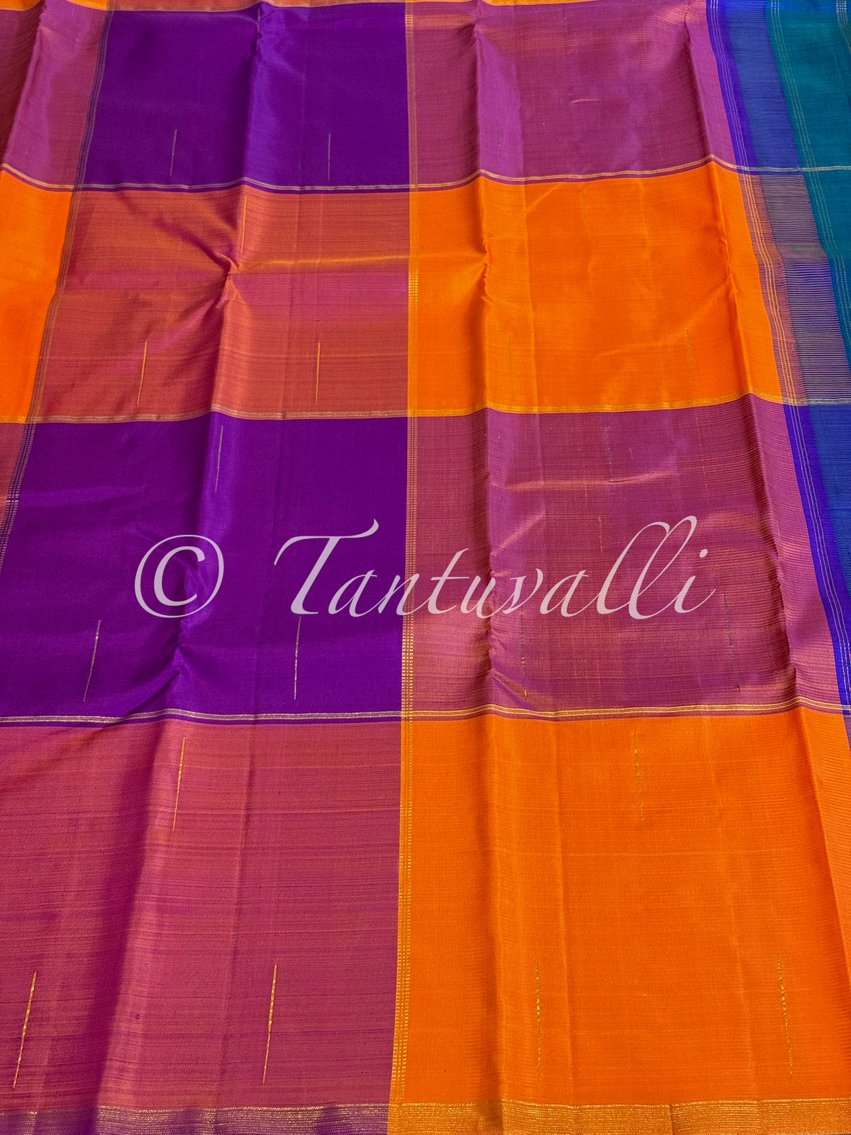 Large Paalum Pazhamum Checks Borderless with Mayil Kazhuthu Pallu