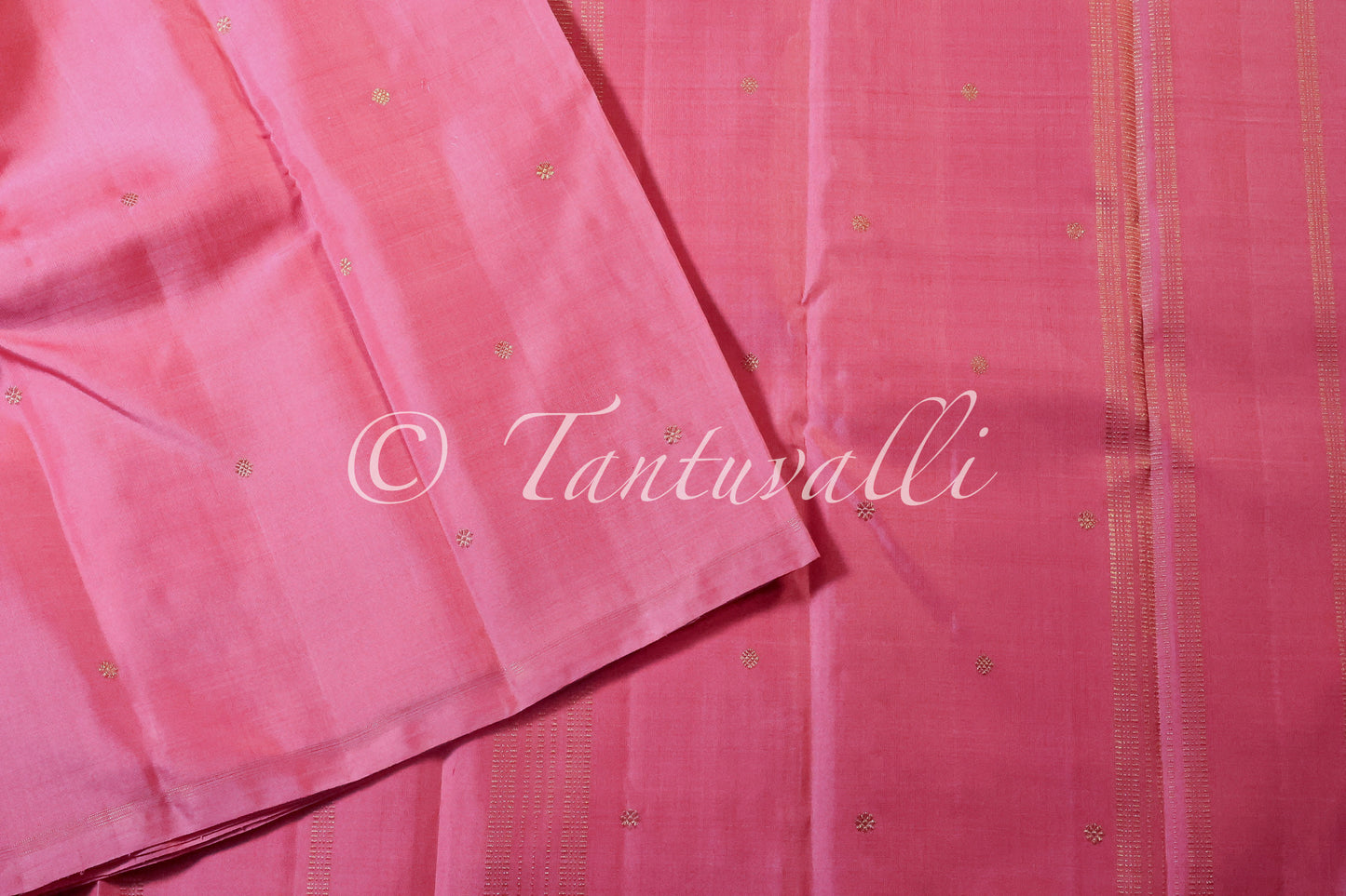Pattu Roja Borderless