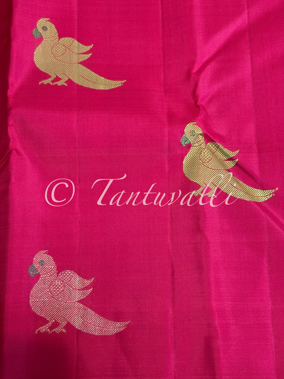 Chili Red Meenakari Zari Kili Buttas Pure Zari Borderless with Bright Green Pallu