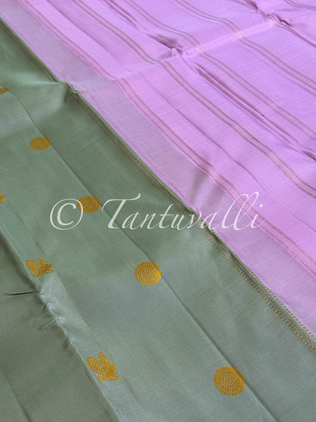 Mint Green Borderless With Lilac Pallu