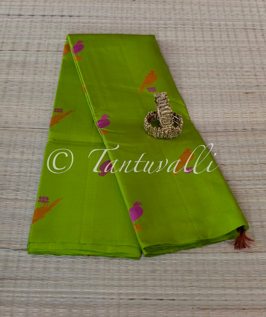 Parrot Green No Zari Parrot Motifs