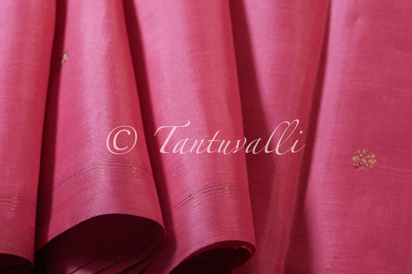 Pattu Roja Borderless