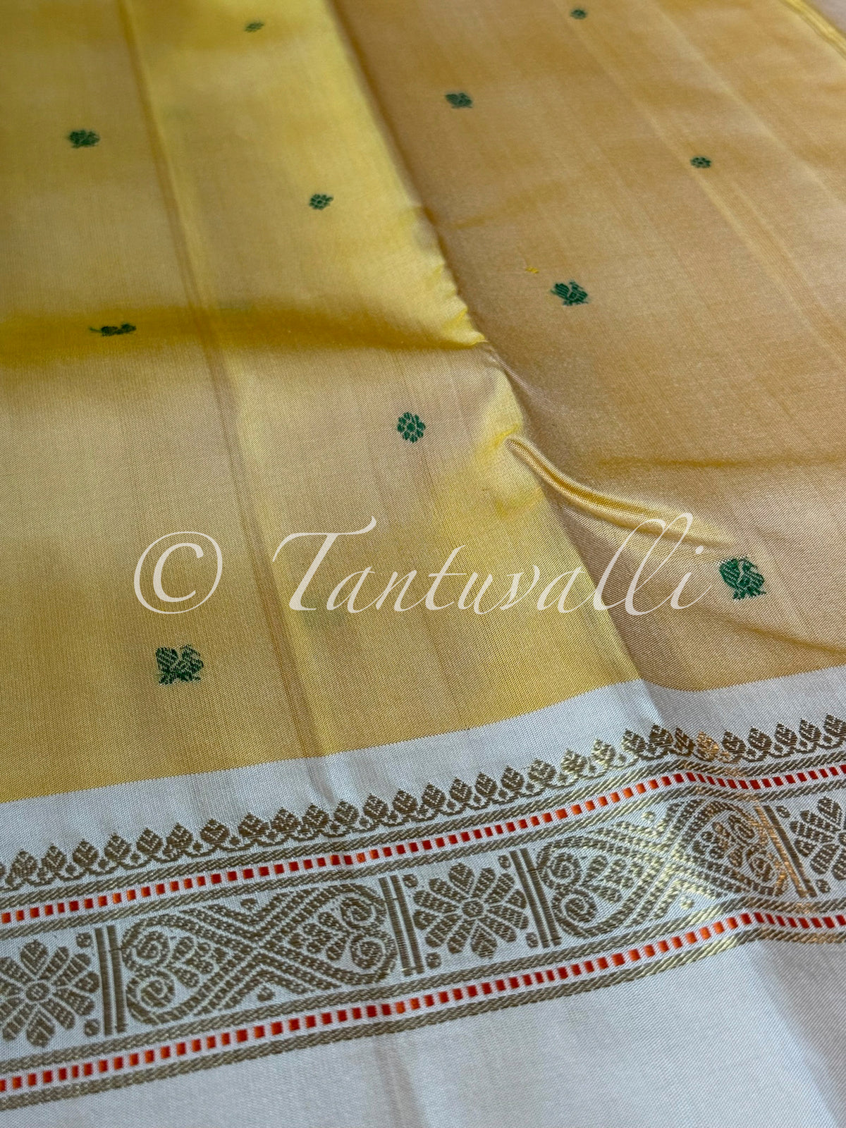 Butter Yellow with Off White Rettaipet Border