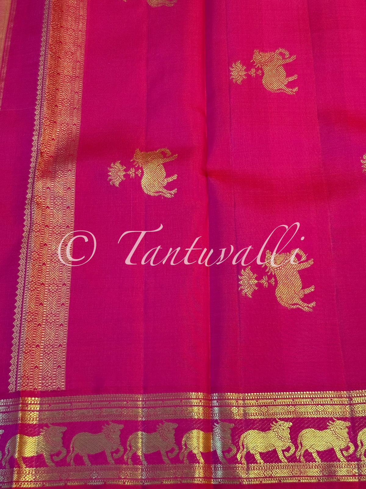 Mango Yellow with Pichwai Cow Motifs Rani Pink Small Border Korvai