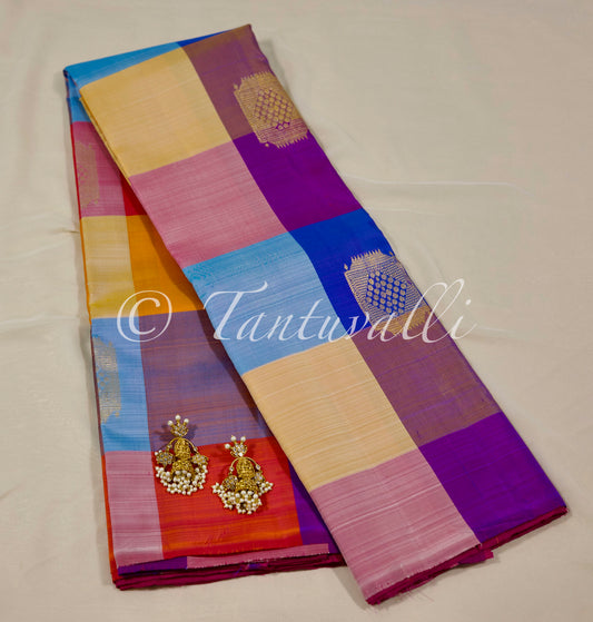 Multi large checks Paalum Pazhamum- Borderless