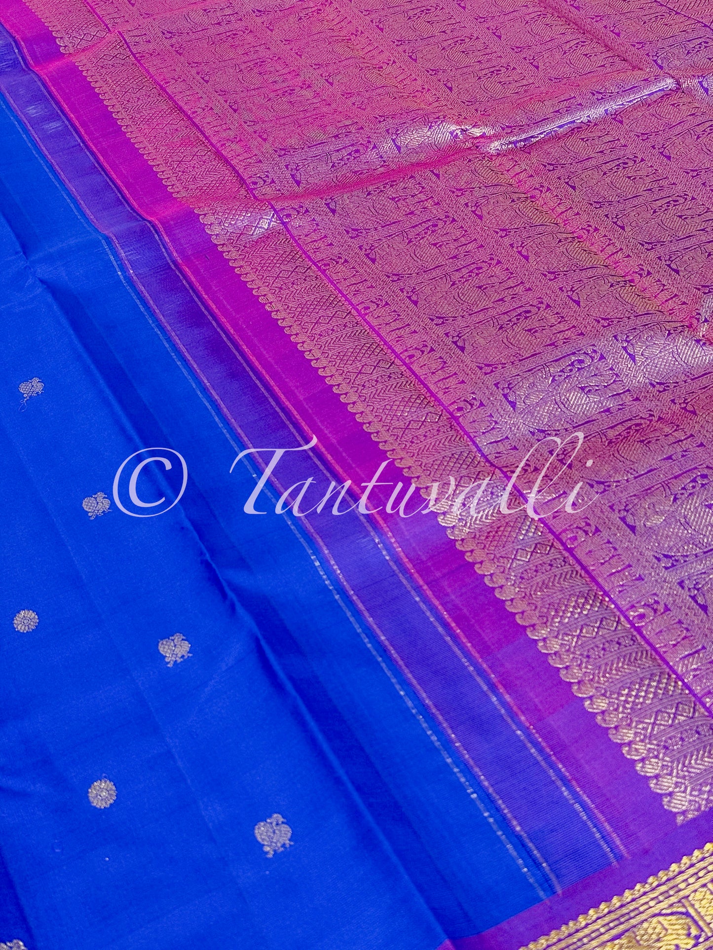 MS Blue with Small Purple Korvai