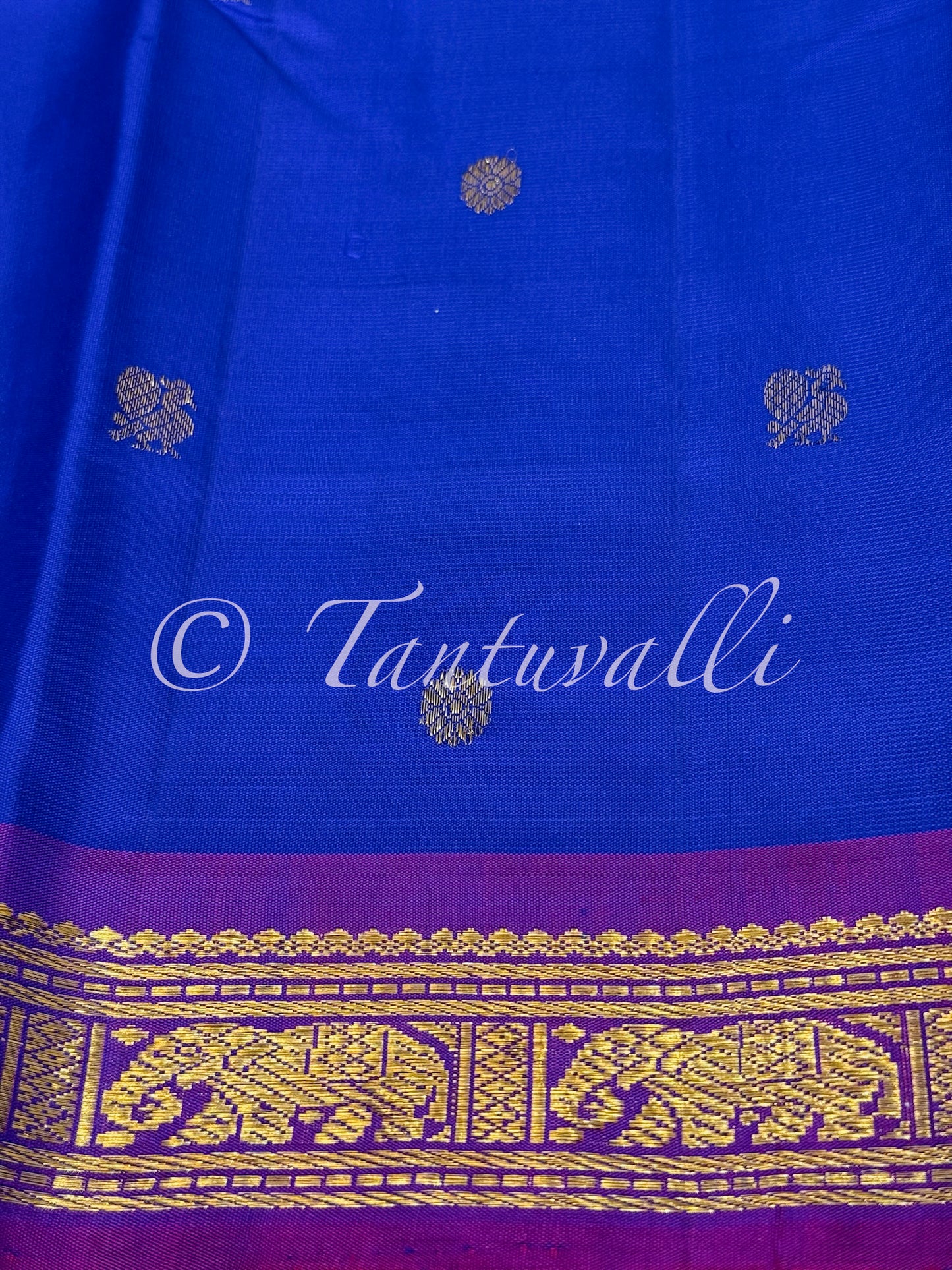 MS Blue with Small Purple Korvai