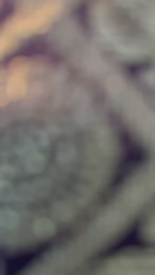 Baby yellow with Kanchana brown and teal - Borderless