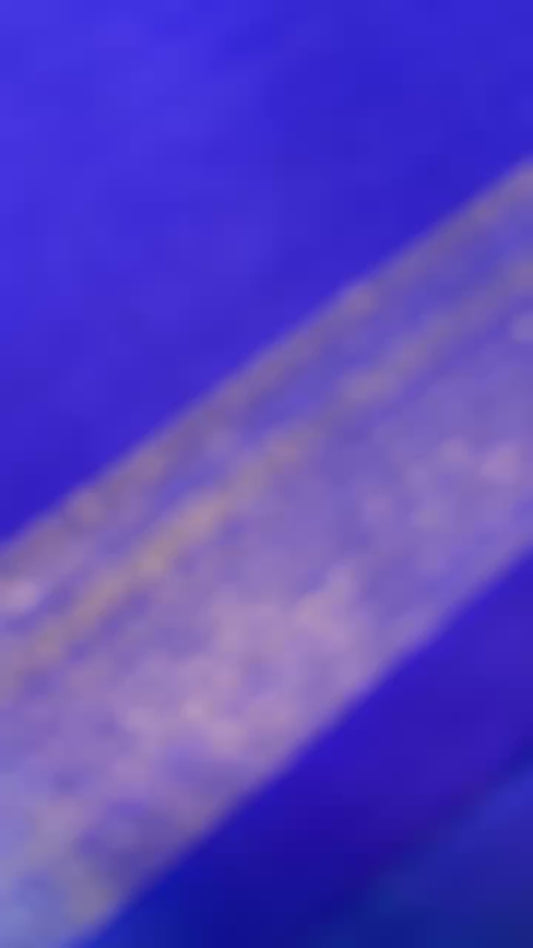 Mustard/golden yellow with Purple blue Korvai